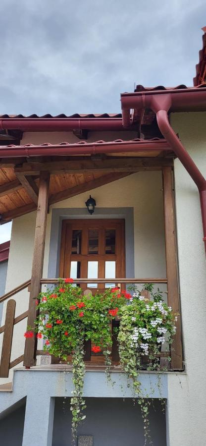 House Sara Lägenhet Korenica Exteriör bild