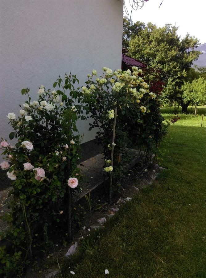 House Sara Lägenhet Korenica Exteriör bild